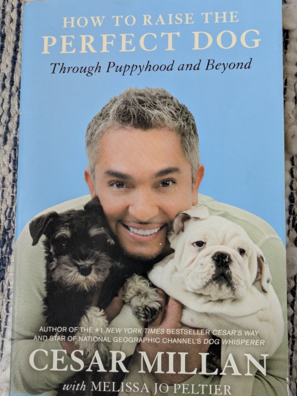 Cesar Millan Book, How To Raise The Perfect Dog Through Puppyhood And Beyond